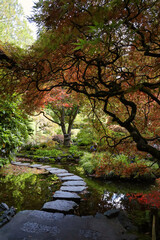 A pathway through a pond with Japanese maple trees hanging overtop. 