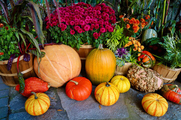 An autumn pumpkin display.