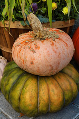 Two pumpkins sitting on top of one another in an autumn display.