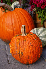 Two orange pumpkins in an autumn holiday display.