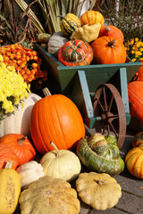 An autumn pumpkin display.