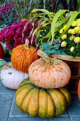 An autumn pumpkin display.