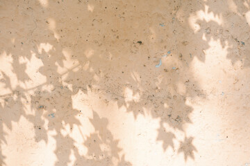The shadow of the tree leaves on the old beige wall.