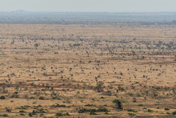 Fototapeta na wymiar The sweeping plains of southern Kruger National Park, South Africa