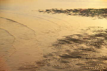 Sand waves texture with water on the sea beach. Yellow sand texture for background.