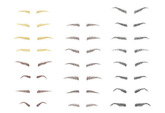 Eyebrow shapes illustration set. Basic eyebrow shape types in black, brown and blond colored.