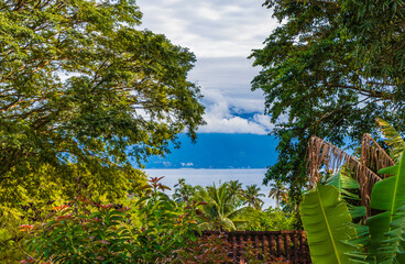 Tropical island Ilha Grande Abraao beach between palm trees Brazil.
