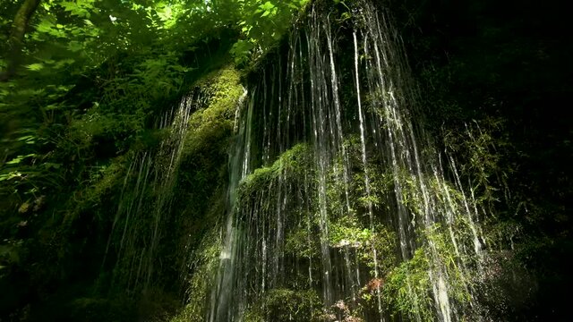 奥入瀬渓流の清水