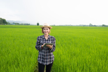 Naklejka na ściany i meble Asian woman farmer using laptop to collect rice field data to analyze the cultivation rural area