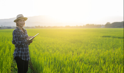 Side view of asian farmer woman wear hat and shirt  using laptop computer at rice field