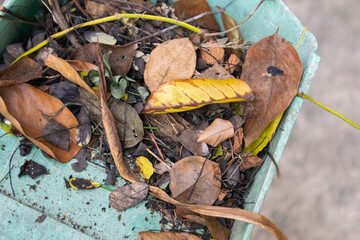 Close up shot of dirt, dust, and dry leaves collected in an old green plastic dustpan. Selective focus at scoop with braches and pile of fallen brown and yellow leaves. Concept of outdoor cleaning