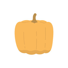 illustration of an orange pumpkin. fruit and food. flat cartoon style. vector design