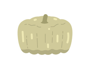 illustration of a green pumpkin. fruit and food. flat cartoon style. vector design