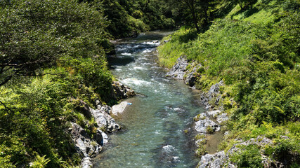 Quiet clear stream in summer