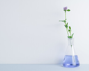 Laboratory glass Erlenmeyer conical flask filled with blue chemical liquid for a chemistry experiment in a science research lab with plant, copy space