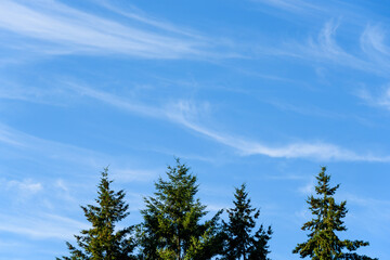 Peaceful wispy white clouds against a clean blue sky as a nature background
