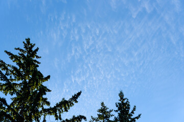 Peaceful wispy white clouds against a clean blue sky as a nature background
