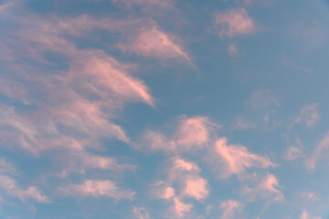 Colorful puffy clouds against a blue twilight sky, as a nature background
