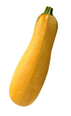 Zucchini on a white background 