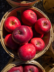 Basket of Red Apples