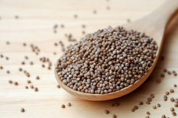 Perilla seeds in a wooden spoon are grains that can be eaten with both seeds and leaves. It can be found in the northern part of Thailand. Popular as an ingredient for appetizers.