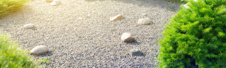 Landscape garden with spruce tree, ornamental growth cypress bushes, gravel, color rock and the sun's rays. Landscaping banner with copy space for text