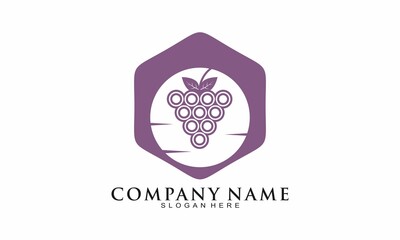 Creative grape fruit vector logo