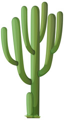 Saguaro cactus in cartoon style isolated on white background