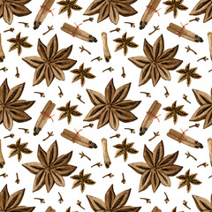 Watercolor hand painted collection with spices: mix peppers, cardamom, cinnamon, nutmeg, cloves, anise, bhut jolokia.