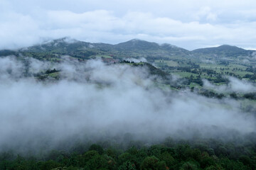 aerial view of a forest surrounded by clouds