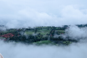 Fototapeta na wymiar crop field surrounded by fog
