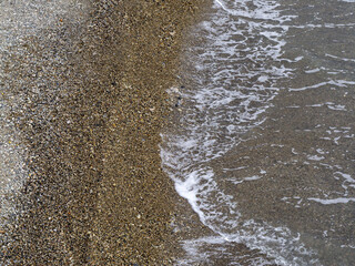 The sea shore, in a calm state, a small tide and a small wave with bizarre patterns and shadows.