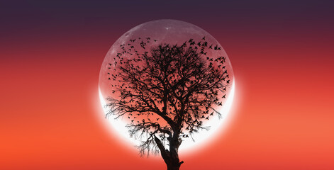 Silhouettes of flying birds in shape of heart with dead tree in the background crescent moon at...