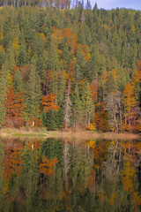 Picturesque lake in the autumn forest. Gorgeous scenery with a mirror reflection of a spruce forest on the water surface. Mountain Lake Synevyr in Carpathian, Ukraine. Zakarpattia.