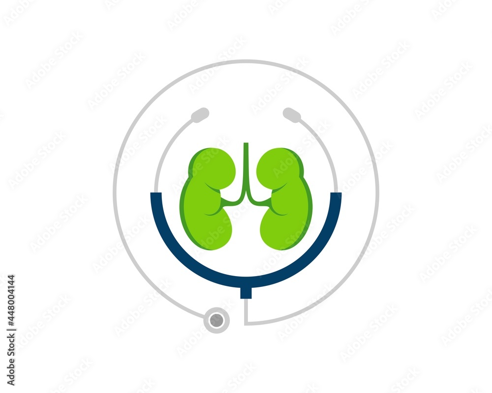 Sticker Circular stethoscope with healthy kidney inside