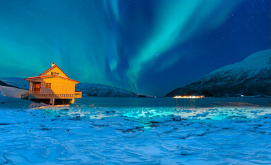 Northern lights (Aurora borealis) in the sky 