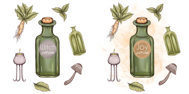 Herbology elements art, potion bottle, cauldron, mandrake root, mandragora leaves, toadstool, wizard supplies, hallowen party design