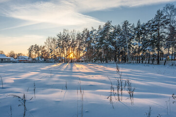 Winter sunset. The sun's rays break through the trees