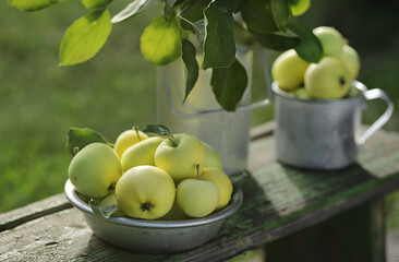Fototapeta na wymiar apples in a bowl on the table