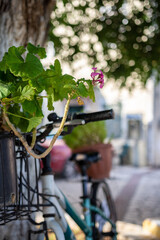 Fototapeta na wymiar beautiful vintage bicycle and flowers