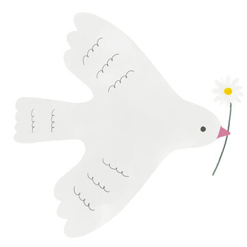 白鳩 Images Browse 87 Stock Photos Vectors And Video Adobe Stock