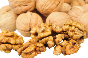White background of the walnut