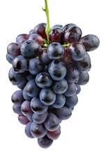 Grapes in white background