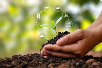 tree growing on soil in human hands and plant growth factor icon plant growth concept and plant...