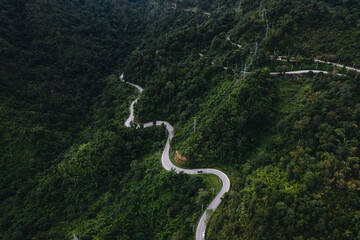 mountain road and green trees from above