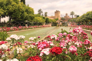 Typical muslim gardens in Cordoba Spain - obrazy, fototapety, plakaty