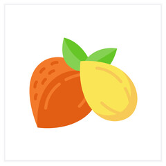 Almonds flat icon. Superfood. Organic healthy energetic food for balanced nutrition. Detox and weight loss supplements. Vegetarian food. Color vector illustration