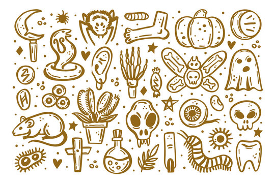 Golden scary ink vector Halloween illustration. Skull, druid knife, insect, ghost, rat, poison, eye, pumpkin, bone, cross, spider, rune, tooth, herb, death, danger. Isolated on white background.