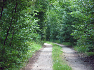 Kinding-Greding 2021