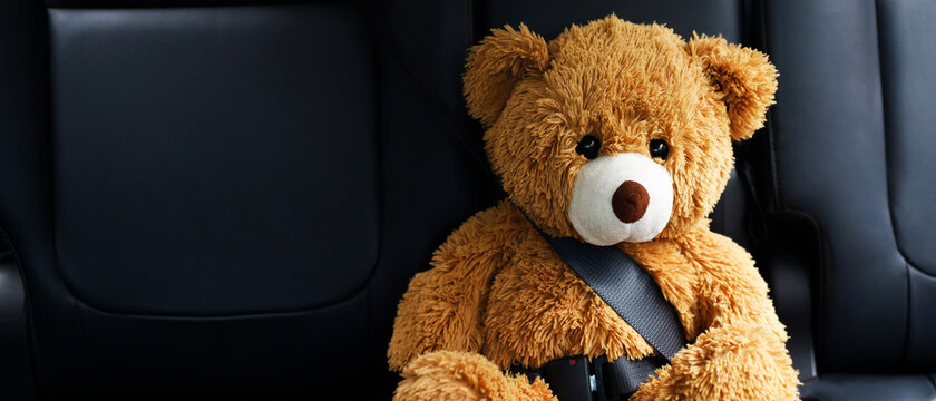 Brown teddy bear wearing car seat belt